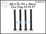 Bộ Ốc Lục Giác M2 x 30mm Screws For F3 F4 F7 Tower (4 Pcs)