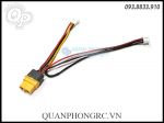 Dây Chuyển Sạc XT60 Cho Pin 2S PH2.0 3P