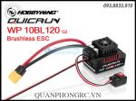 Hobbywing QuicRun WP 10BL120 G2 Brushless ESC 120A 30107200