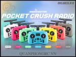 Tay Điều Khiển Radiomaster Pocket CRUSH Hall Gimbals Transmitter ELRS