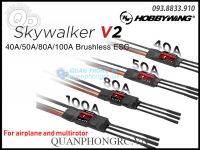 Set esc Hobbywing skywalker V2 bị vô chế độ setup