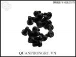 Nylon Screw Black 3x6 (10pcs/set )