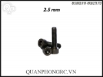 Steel Button Head Screw M2.5 x 10MM (5pcs -5 con)