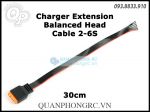 Dây Balance Nối Dài Charger Extension Balanced Head Cable 2-6S 30cm
