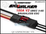 Bộ Điều Tốc Hobbywing SkyWalker 100A V2 UBEC Brushless ESC (3-6S) 80060441