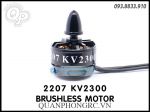 2207 2300KV 3-4S Brushless Motor CW/CCW