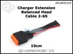 Dây Balance Nối Dài Charger Extension Balanced Head Cable 2-6S 10cm